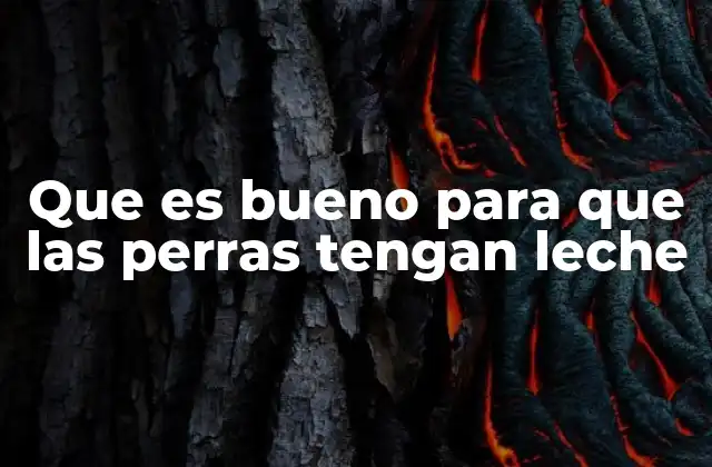 Que es Bueno para que las Perras Tengan Leche