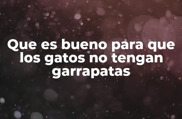 Que es Bueno para que los Gatos No Tengan Garrapatas