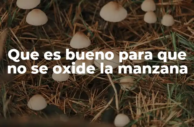 Cómo mantener la manzana fresca sin perder su sabor