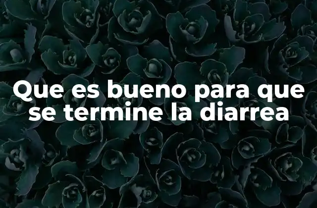 Remedios caseros para aliviar la diarrea