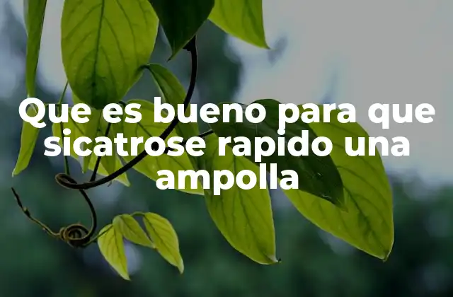 Que es Bueno para que Sicatrose Rapido una Ampolla