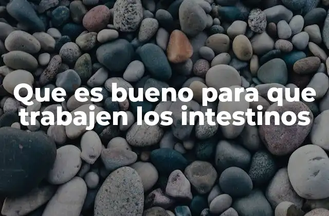 Que es Bueno para que Trabajen los Intestinos
