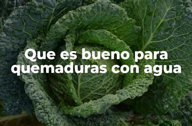 Que es Bueno para Quemaduras con Agua