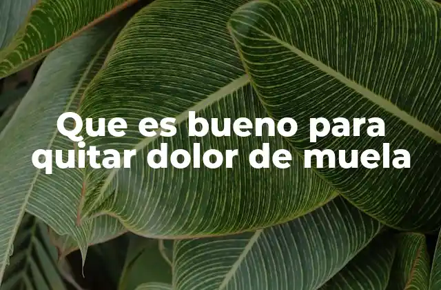 Que es Bueno para Quitar Dolor de Muela