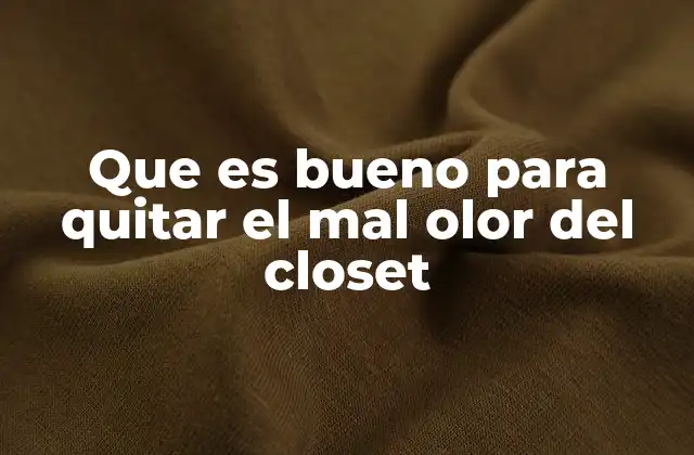 Que es Bueno para Quitar el Mal Olor Del Closet 2 Cómo mantener el armario fresco sin productos químicos
