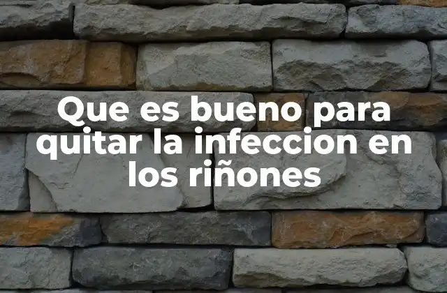 Que es Bueno para Quitar la Infeccion en los Riñones