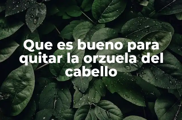Que es Bueno para Quitar la Orzuela Del Cabello