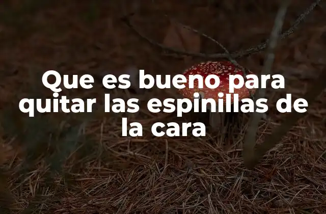 Que es Bueno para Quitar las Espinillas de la Cara