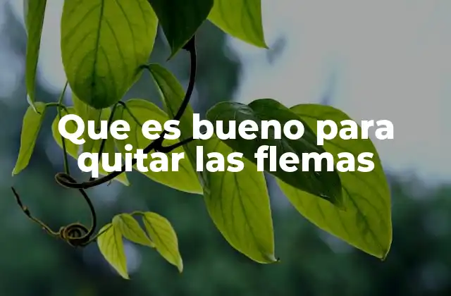 Que es Bueno para Quitar las Flemas