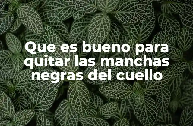 Que es Bueno para Quitar las Manchas Negras Del Cuello