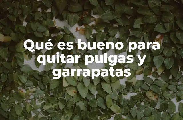 Qué es Bueno para Quitar Pulgas y Garrapatas