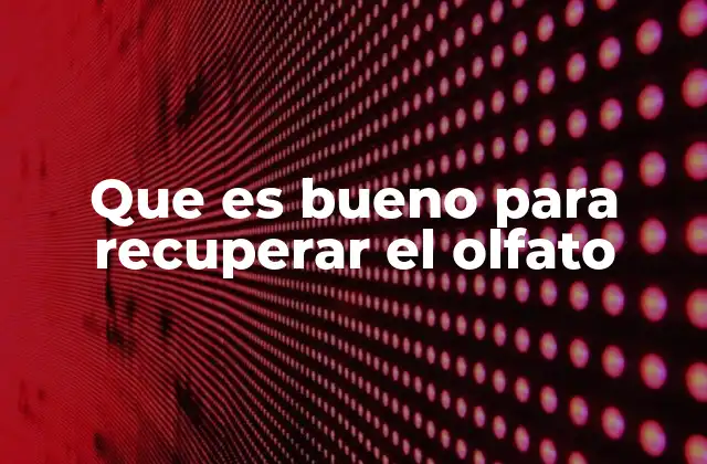 Que es Bueno para Recuperar el Olfato