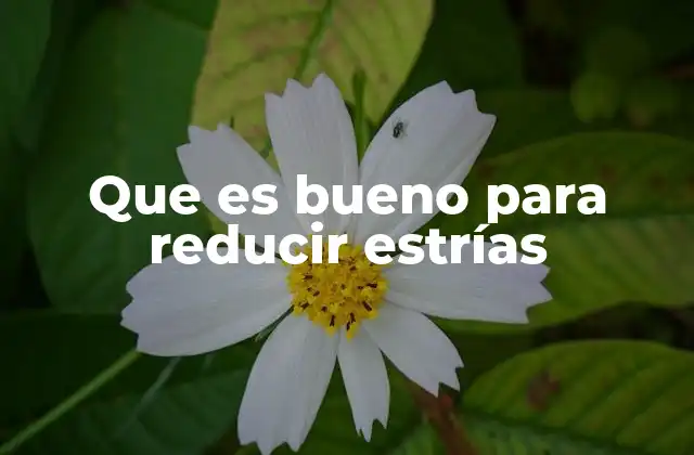 Que es Bueno para Reducir Estrías