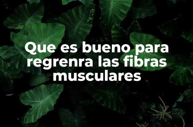 La importancia del descanso en la regeneración muscular