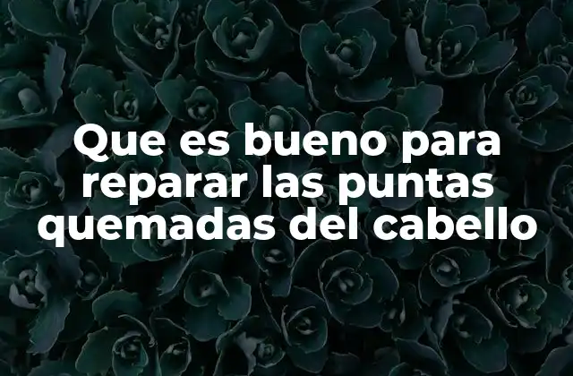 Que es Bueno para Reparar las Puntas Quemadas Del Cabello