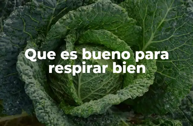 Que es Bueno para Respirar Bien