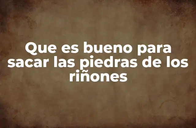 Que es Bueno para Sacar las Piedras de los Riñones