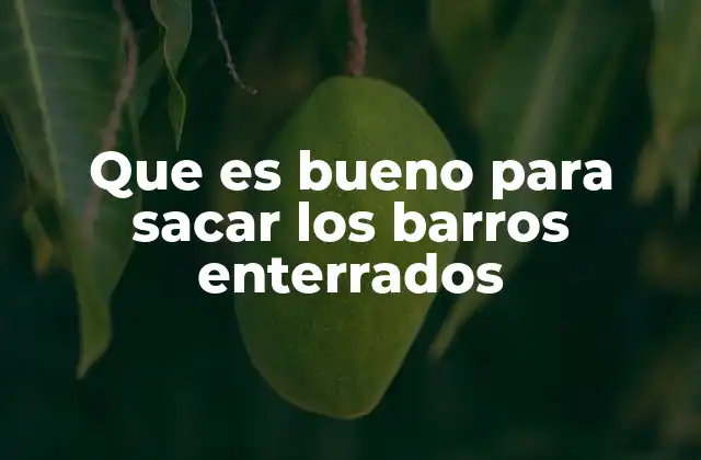 Cómo el cuerpo almacena toxinas y por qué es necesario eliminarlas