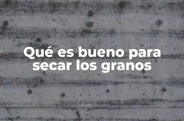 Qué es Bueno para Secar los Granos