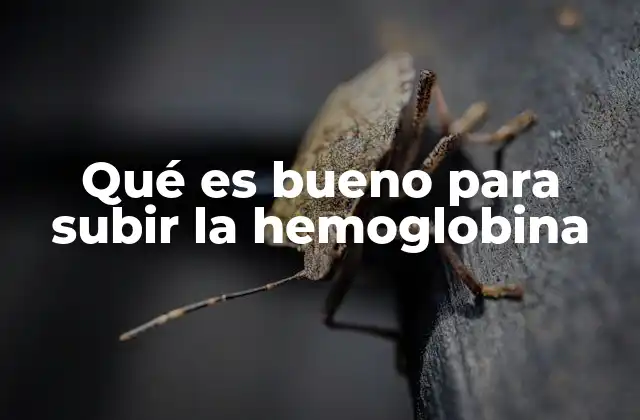 Qué es Bueno para Subir la Hemoglobina
