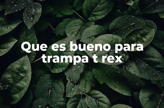 Que es Bueno para Trampa T Rex