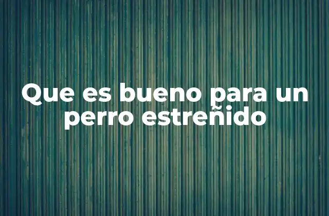 Que es Bueno para un Perro Estreñido