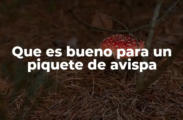 Que es Bueno para un Piquete de Avispa