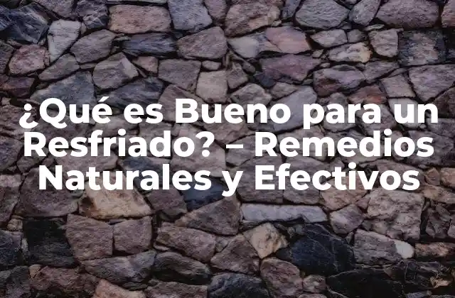 ¿qué es Bueno para un Resfriado? – Remedios Naturales y Efectivos