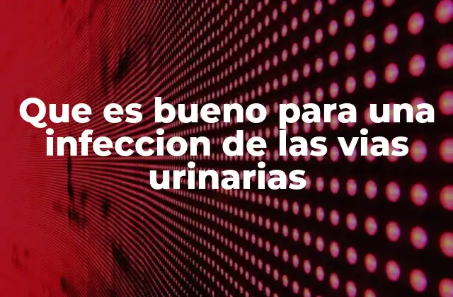 Que es Bueno para una Infeccion de las Vias Urinarias
