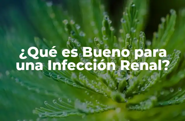 ¿qué es Bueno para una Infección Renal?