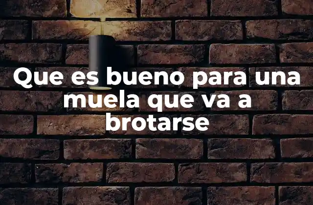 Que es Bueno para una Muela que Va a Brotarse 2 Cómo preparar la boca para la llegada de una nueva muela
