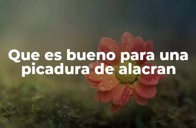 Cómo abordar el dolor y la inflamación tras una picadura