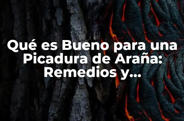 Qué es Bueno para una Picadura de Araña: Remedios y Tratamientos