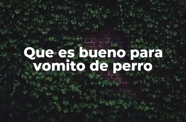 Remedios caseros para el malestar estomacal en perros