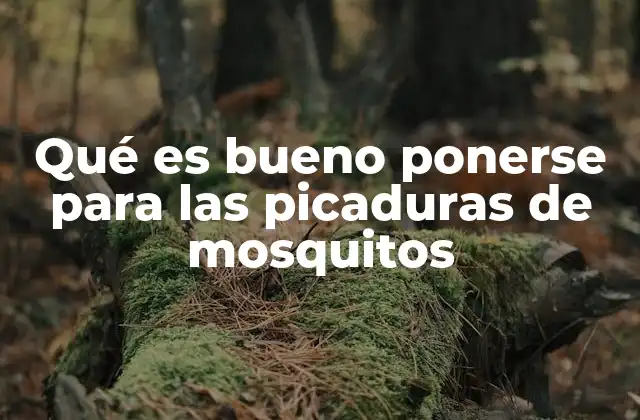 Cómo reacciona el cuerpo a las picaduras de mosquito