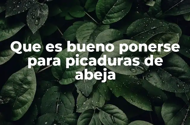 Que es Bueno Ponerse para Picaduras de Abeja
