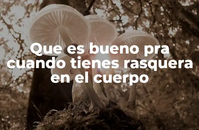Que es Bueno Pra Cuando Tienes Rasquera en el Cuerpo