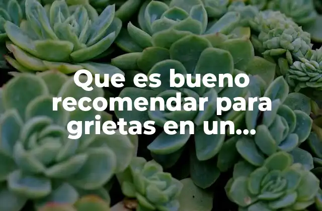 Cómo mantener la integridad de las superficies asfálticas