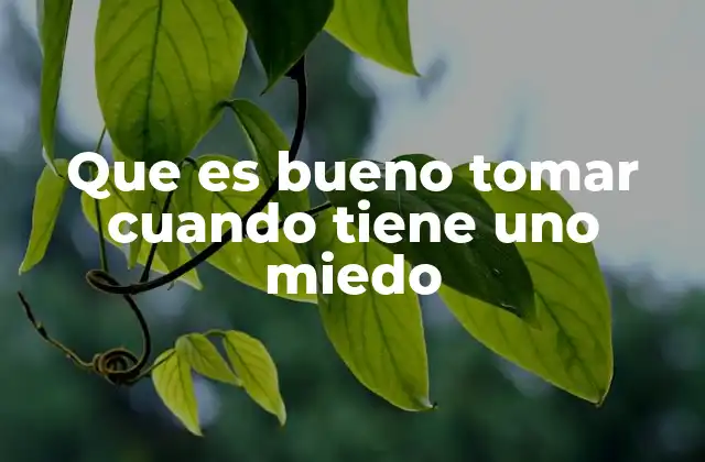 Que es Bueno Tomar Cuando Tiene Uno Miedo 2 Opciones naturales para combatir la ansiedad y el miedo