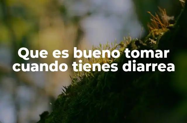 Que es Bueno Tomar Cuando Tienes Diarrea