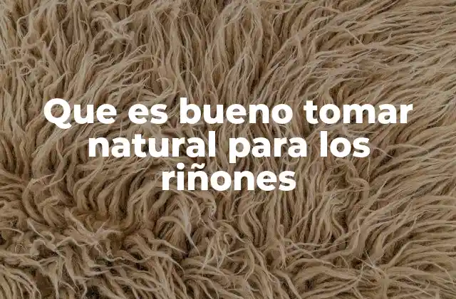 Que es Bueno Tomar Natural para los Riñones