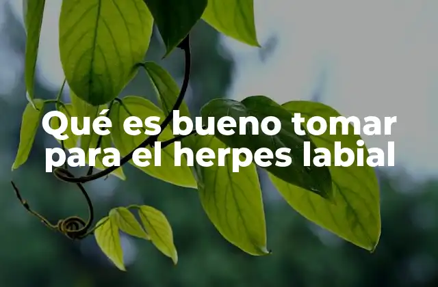 Qué es Bueno Tomar para el Herpes Labial 2 Cómo abordar el herpes labial desde un enfoque integral