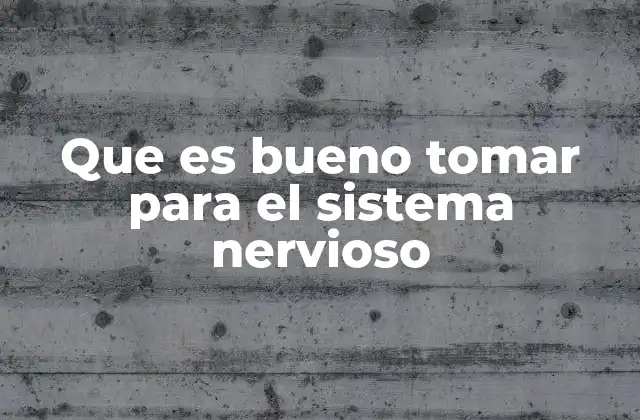 Que es Bueno Tomar para el Sistema Nervioso 2 La conexión entre nutrición y salud cerebral