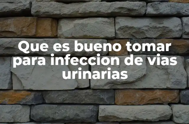 Remedios naturales para combatir infecciones urinarias