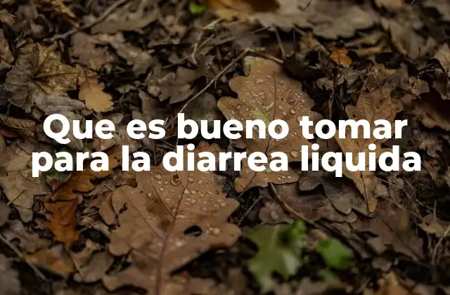 Que es Bueno Tomar para la Diarrea Liquida