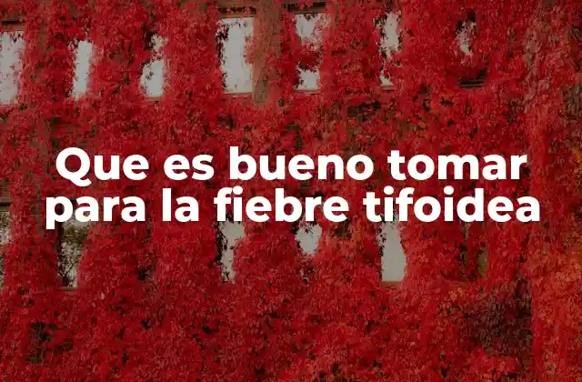 Que es Bueno Tomar para la Fiebre Tifoidea 2 Estrategias dietéticas durante el aislamiento por fiebre tifoidea