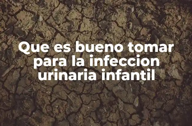 Que es Bueno Tomar para la Infeccion Urinaria Infantil