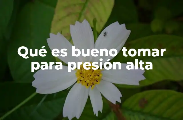 Qué es Bueno Tomar para Presión Alta