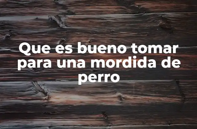 Que es Bueno Tomar para una Mordida de Perro