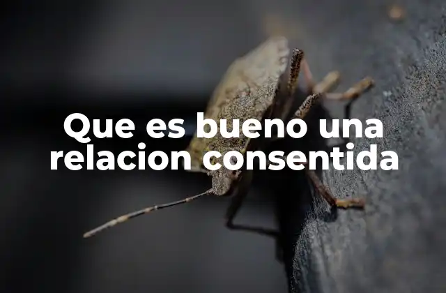 Que es Bueno una Relacion Consentida